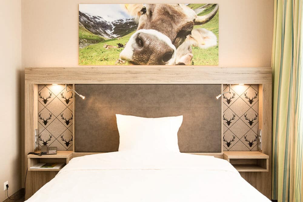 Queensize-Zimmer, Kuh über dem Bett, Hotel Bavaria Oldenburg