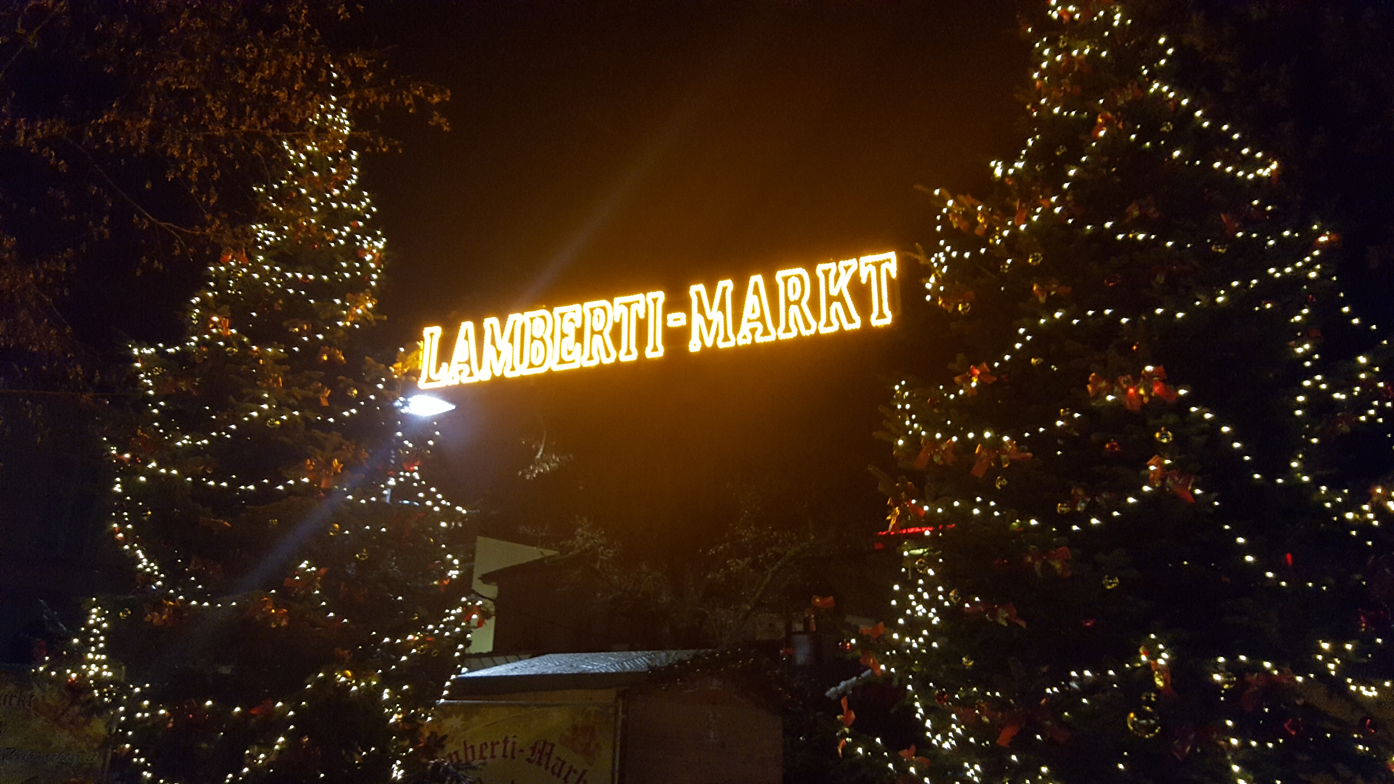 weihanchtsbäume Oldenburg weihnachtsbäume