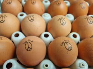 Frühstückseier Friede Freude … Frühstückseier